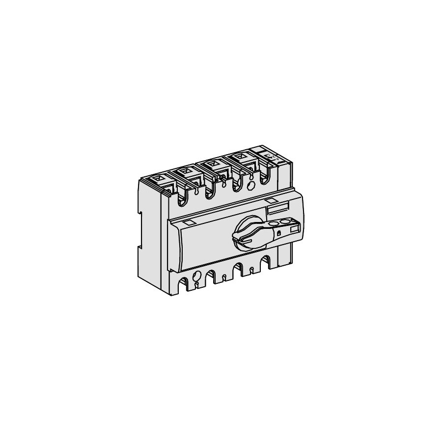 28910 - Interrupteur sectionneur Interpact INS125 3P 125 A - Schneider 