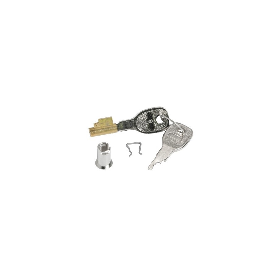 MIP99046 - Pragma - serrure à clé - 2 clés métals livrées - tous les mini coffrets - Schneider 